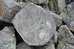 Photograph a six-sided column of basalt, Yellowstone National Park, Wyoming