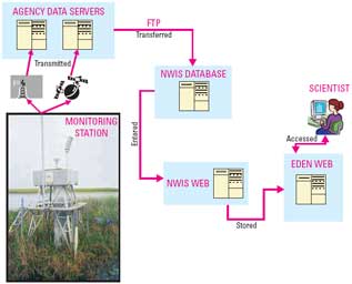 Graphic showing the path of data from the field to the website