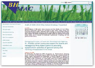 A screenshot of the Bosnia and Herzegovina Mine Action Center’s Web site. 