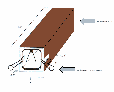 Figure 4: Diagram of quick-kill body trap box.