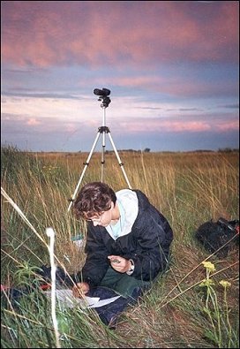 Colleen LeFevre recording measurements on a mist-netted Savannah Sparrow