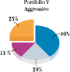 Portfolio V Aggressive