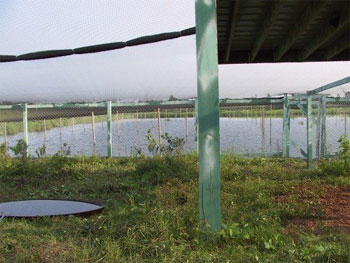 Photo of inside of chick's pen; by Heather Ray