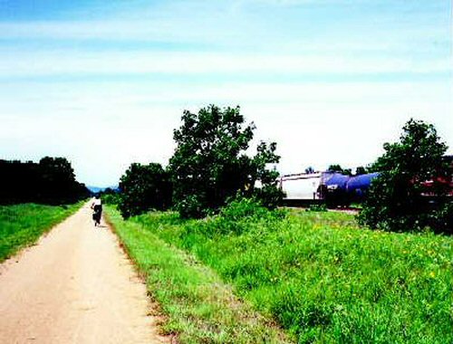 Cover Page Image - Photograph of a bicyclist riding along the trail, and a freight train is passing by. About 30 feet of mixed vegetation and a drainage ditch separate the path from the railroad.