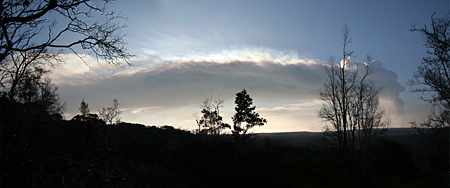 This was the view from the Mauna Loa Strip Road in Hawai`i Volcanoes National Park at 7 a.m. this morning. Stagnant surface winds, combined with higher elevation winds from the southwest, caused the plume to rise straight up and then shear off to the northeast. April 10, 2008 