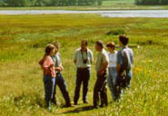 image of group in marsh