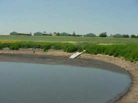 Swine manure storage structure