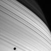 Sun-striped Saturn