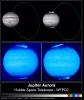 Hubble Images Reveal Jupiter's Auroras