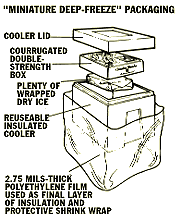 impreso de "Food News for Consumers Holidays", 1988