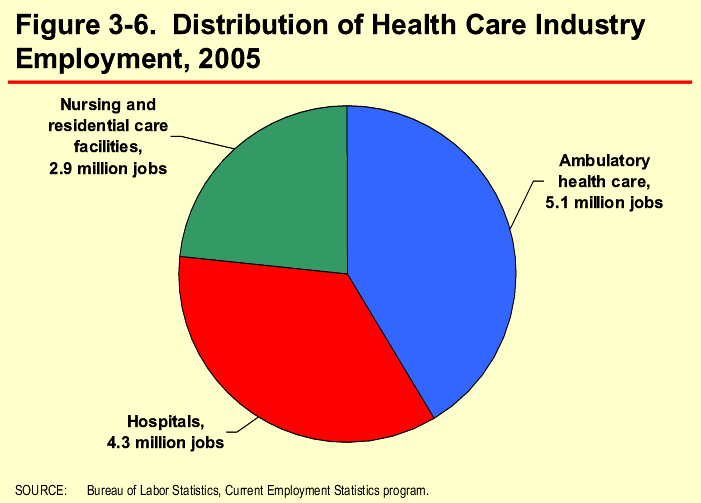 Figure 3-6. Distribution of Health Care Industry Employment, 2005
