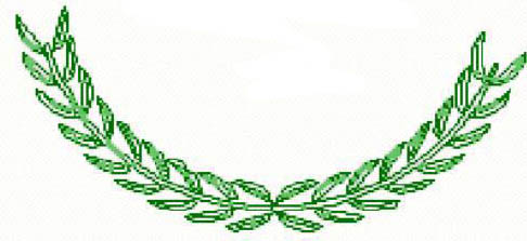 evergreen leaf