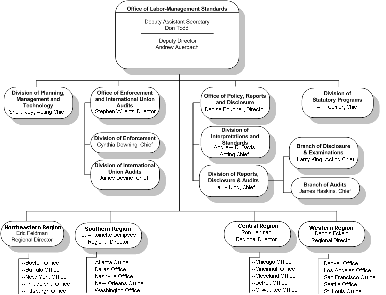 OLMS Org Chart