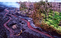 Channeled lava flows downrift of Pu`u`O`o