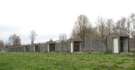 The completed feed sheds stand tall in a long row after all the work is done. The birds have already resettled in their pens and have adjusted to the new structure.   Photo by Brian Clauss, USGS