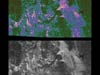 False-color radar image and a black and white image of Titan