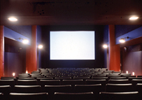 Inside the Film Forum Theater