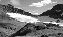 Chaney Glacier, 2005, USGS Photo