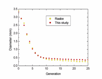 Figure 2. Airway diameter vs Generation