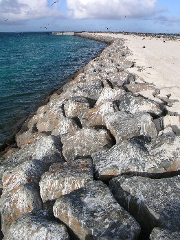 Tern Island North Seawall