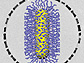 image of a circular superstructure of hybrid nanorods