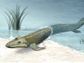 Illustration of Tiktaalik crawling from the sea to land.