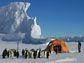 Photo of emperor penguins approaching field camp at Cape Washington, Antarctica