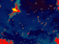 Thermal infrared image of Brazilian free-tailed bats in Texas.