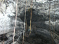 Photo of roots hanging from the roof of a lava tube.