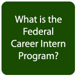 What is the Federal Career Intern Program?