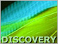 Generic Discovery Image