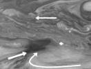 Wind Patterns in Jupiter's Equatorial Region (Time set 1)