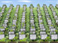 An artist's rendition of a server farm, showing rows of computers planted like crops.