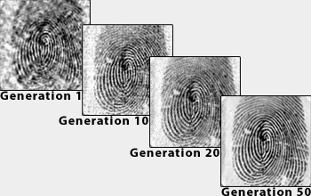 Fingerprint image quality through subsequent generations of genetic algorithm evolution.