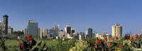 Communities: Picture of city skyline from a park setting