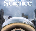 Image of the cover of the October 31, 2008 edition of Science, featuring a large sculpture.