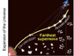 Measurements of recessional velocity, distance, and age of stellar explosions called supernovae provide the first direct evidence that the rate at which the universe is expanding is increasing