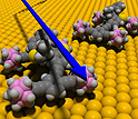 Nanocars on a gold surface