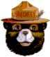 Graphic of Smokey Bears head