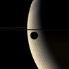 Rhea Transits Saturn