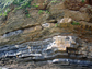 Photo of ancient sediments in Brittany, France.