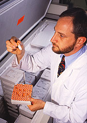 Physiologist David Baer sorts vials of plasma.
