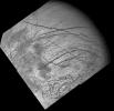 Dark Bands on Europa