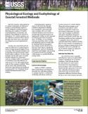 Physiological Ecology and Ecohydrology of Coastal Forested Ecosystems