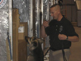 Photo of a TSA handler and his explosives detection canine searching cargo