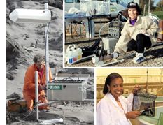Collage showing scientist at work.