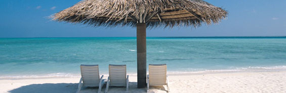 Photo of a beach umbrella overlooking an ocean