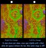 Stereo Pair, with Topographic Height as Color, Manicouagan Crater, Quebec, Canada