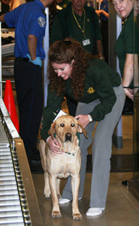 Photo of Angel with her handler Stacy Wolf at a John Wayne Airport checkpoint. Photo courtesy of TSA John Wayne.