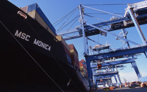 Ship named MSC Monica docked in port
